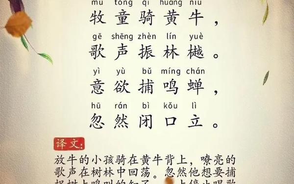 所见古诗词 所见 清 袁枚古诗的意思