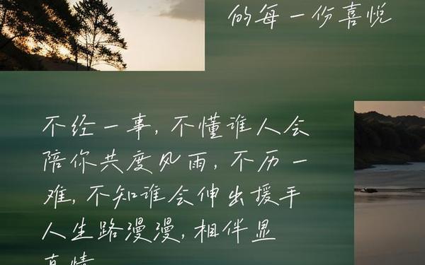 生活感悟经典句子;短短一句,说透人生