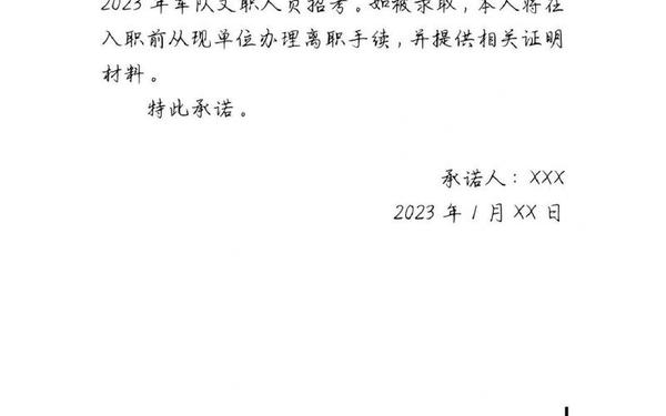 承诺书模板-个人承诺书(范本)