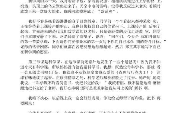 关于开学第一天的作文—开学了作文600字初一