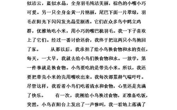 关于鸟的作文_动物作文400字左右大全