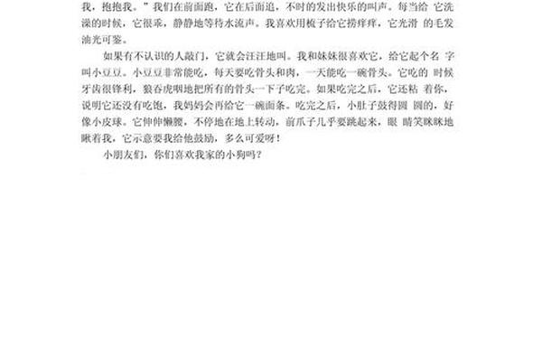 可爱的小狗作文300字左右—小狗300字可抄