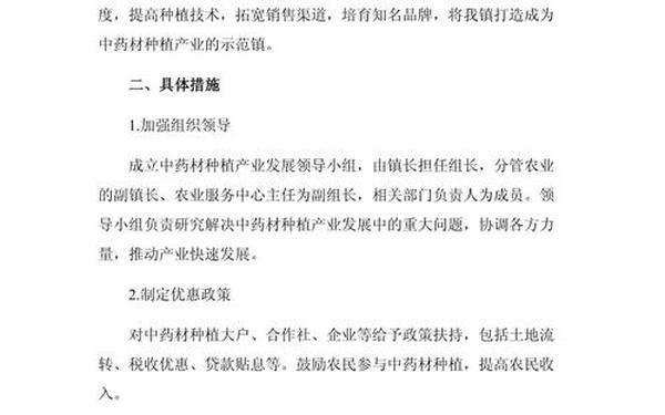 农村产业发展规划—产业发展计划书模板范文
