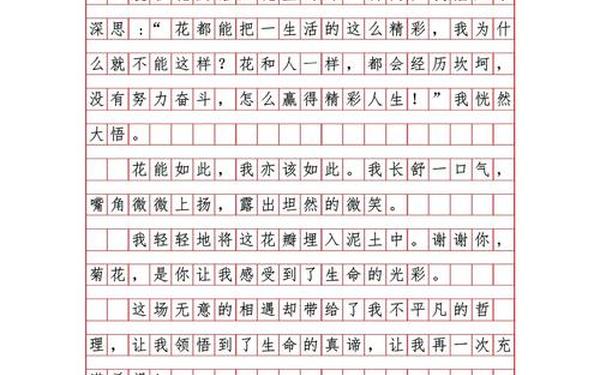 今年作文高考满分作文,《遇见》高考满分作文