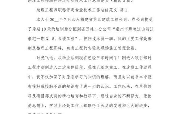 专业技术工作述评—本人任职考核期间专业技术工作述评