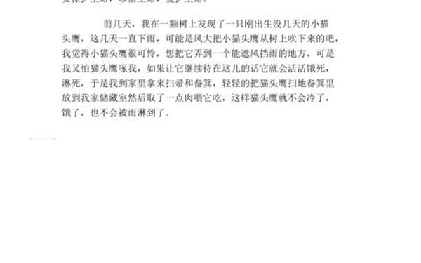 关爱生命的作文_关爱生命的重要性