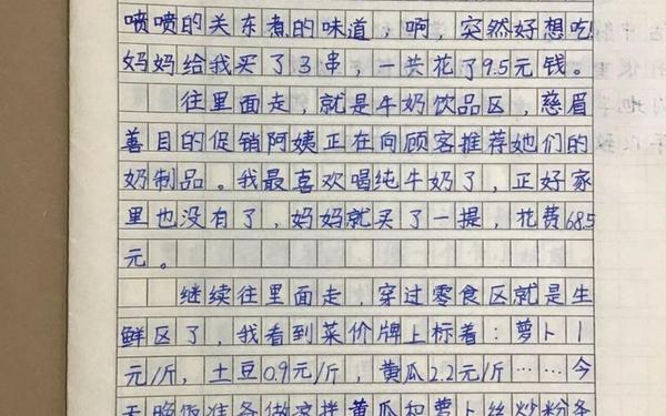 小学四年级日记20篇(四年级下册优秀日记)