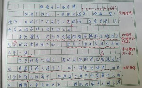 点面结合的场面描写,点面结合写场景50字