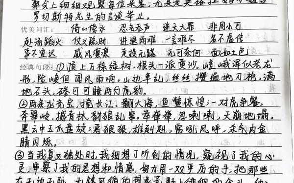 简爱读书笔记摘抄好词好句好段—《简爱》优美句子摘抄
