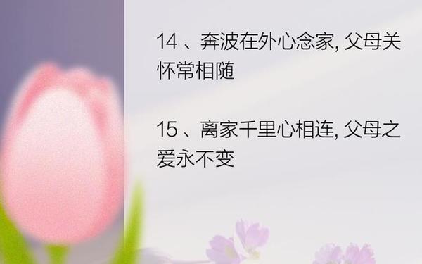 感恩父母的话语暖心、为父母最经典的一句话