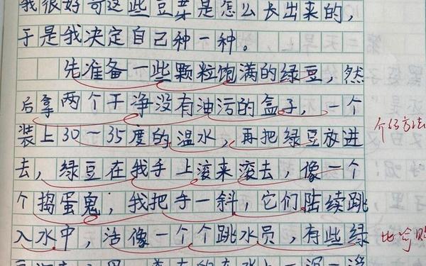 观察绿豆芽的生长过程日记(发豆芽的观察日记)