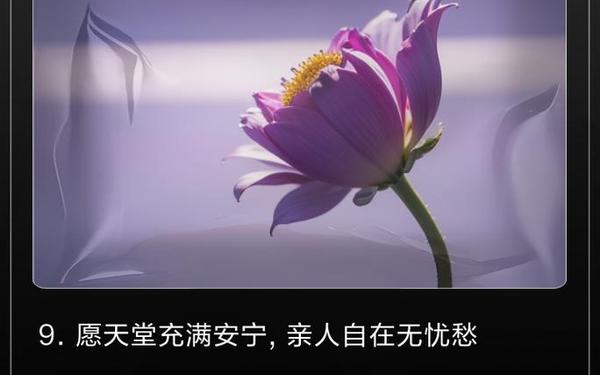 对已逝亲人思念的句子、思念亲人的句子 经典