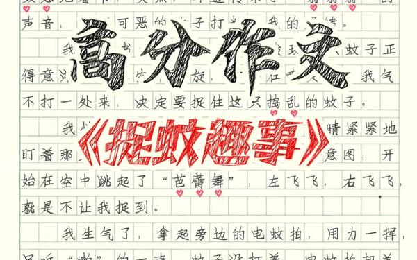 小悦悦事件作文—一枚生活日记北京大姐身份