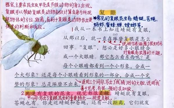 三年级下册语文课本—三年级下册课堂笔记