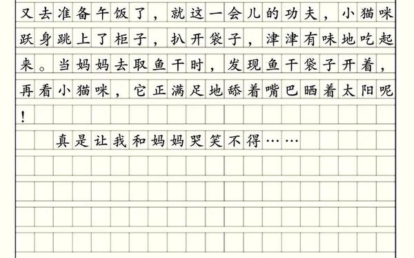 小学普通日记200字;日记300字可抄不被老师看出