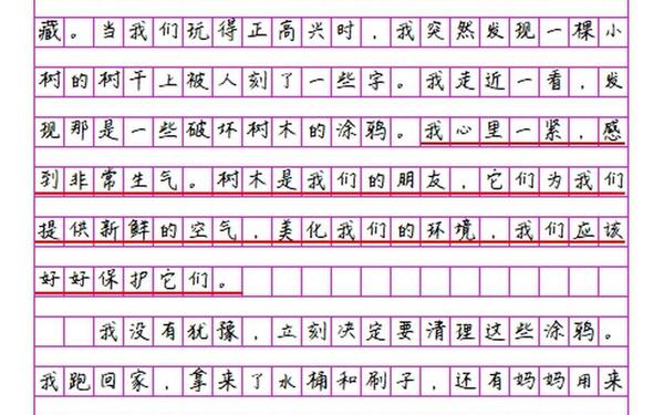 这件事我做对了 这一次我做对了400字
