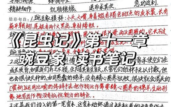 昆虫记读书笔记每一章-《昆虫记》1~10章读书笔记