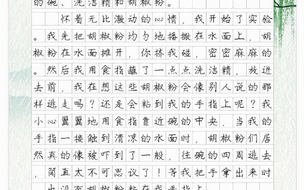 实验作文300字左右(9999999999万亿字作文)