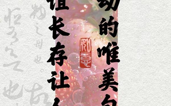 关于朋友情谊的经典句子(最精辟的句子)