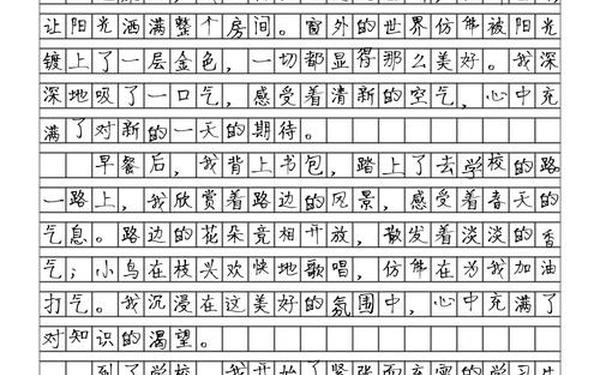 免费作文600字初中,600字作文简单易抄初中