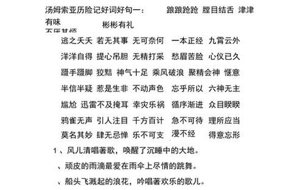 汤姆索亚历险记好词(骑鹅旅行记里的好词好句摘抄)