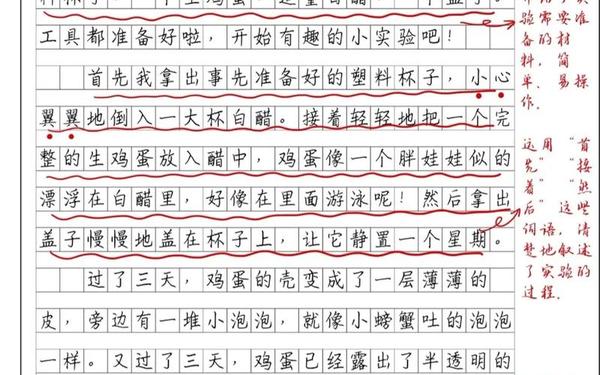 有趣的小实验300字;做一个小实验的作文三年级300字