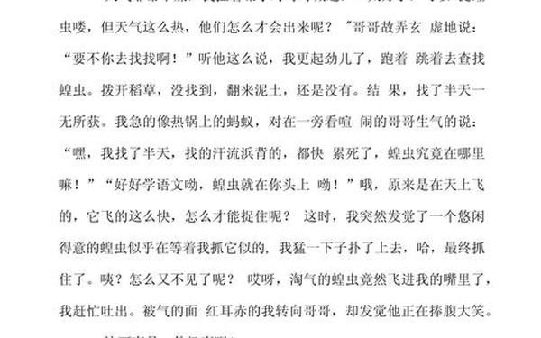 关于暑假趣事的作文,三年级下优秀作文暑假趣事