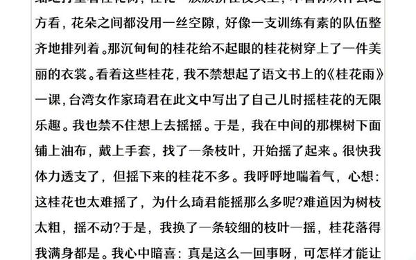 小学生作文网—中小学生作文网官网