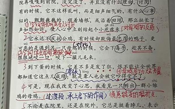 四年级下册语文课堂笔记-部编版四年级语文下册全册课堂笔记汇总