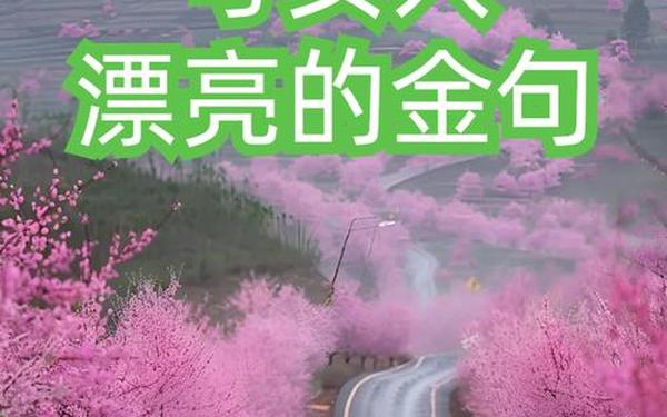 夸女人的美言佳句,最美丽女人句子