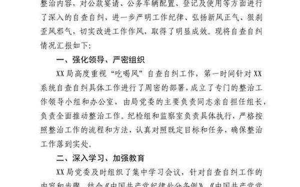 党员自查自纠报告—党员自查自纠材料及整改措施 党员自查自纠报告—党员自查自纠材料及整改措施
