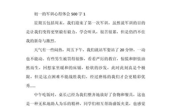 军训心得体会500字左右 军训个人体会500字
