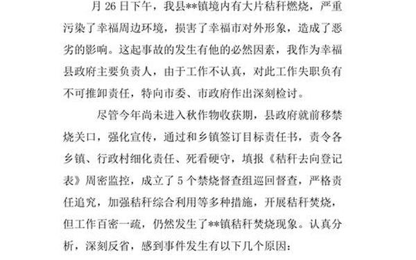 工作疏忽大意自我检讨,对工作不严谨不细心的检讨书