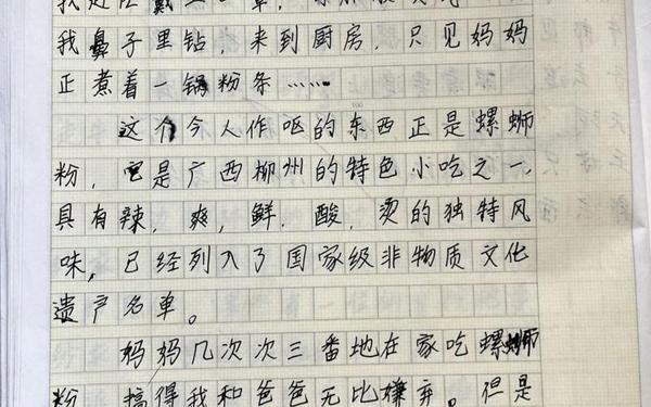 什么是周记—周记该怎么写