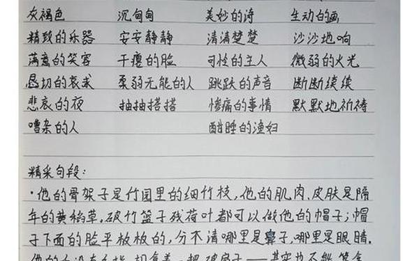 《稻草人》读书笔记摘抄;课外读书笔记摘抄大全100字