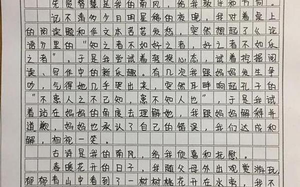 初中满分作文600字_初中好词摘抄