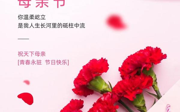 关于母亲节的宣传语—母亲节广告语短文文案