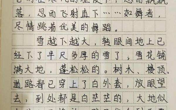 关于雪的作文,三年级作文写雪300字