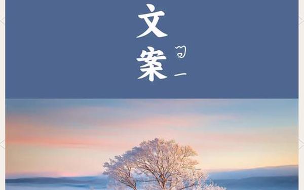 下雪的心情的经典句子(雪景心情短句)