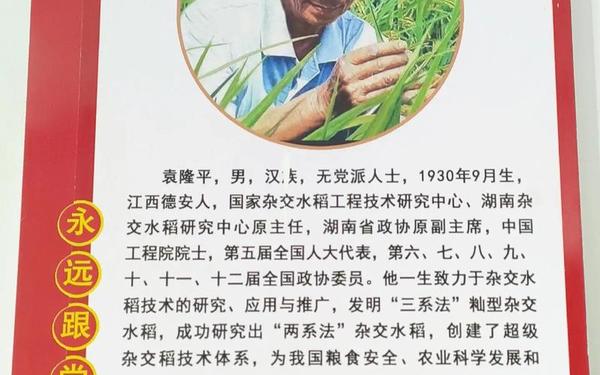 榜样8人物介绍及事迹精神_我身边的榜样摘抄大全