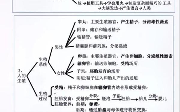 七年级下册生物知识点归纳 生物知识梳理