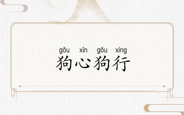 关于狗的成语_和狗有关的成语有哪些
