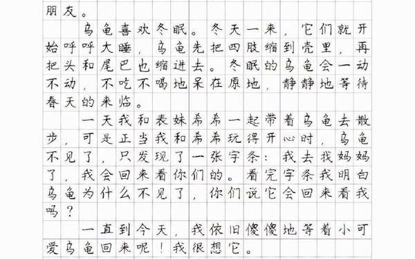 四年级写动物的作文-写小动物的作文不少于300字