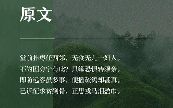 又呈吴郎翻译,又呈吴郎的注释和译文