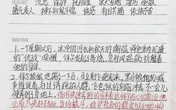 钢铁是怎样炼成的读书笔记300字 1～10章读书笔记图片